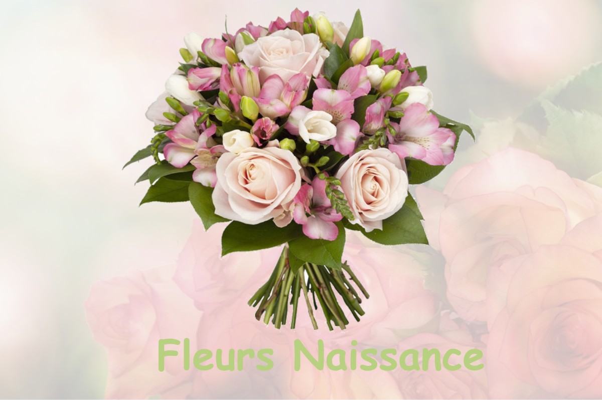 fleurs naissance SAINT-MAURICE-DES-CHAMPS